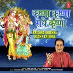 Krishna Krishna Radhe Krishna Anup Jalota Song Download Mp3