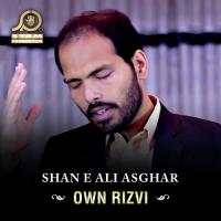 Shan E Ali Asghar songs mp3