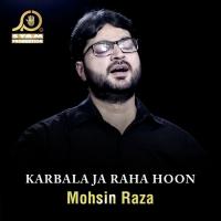 Shah Kahtay Thay Mohsin Raza Song Download Mp3