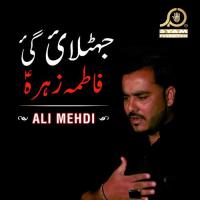 Bint E Asad Kay Laal Ko Ali Mehdi Song Download Mp3