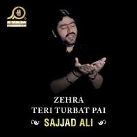 Zehra Teri Turbat Pai Sajjad Ali Song Download Mp3