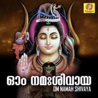 Om Namah Shivaya Rajesh Krishnan,Ramesh Chandra,Latha Hamsalekha Song Download Mp3