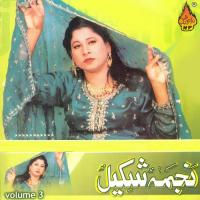 Han Samjhandi Gal Dunya Di Najma Shakeel Song Download Mp3