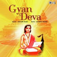 Bhimache Vishwa Chakrah Krishna Shinde Song Download Mp3