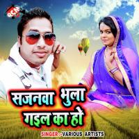 Sejiya Pe Hamke Dardiyo Na Bhail Monika Song Download Mp3