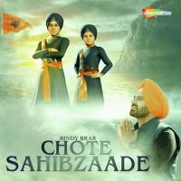 Chote Sahibzaade Bindy Brar Song Download Mp3