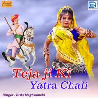 Tejaji Ki Yatra Chaali Bittu Meghwanshi Song Download Mp3