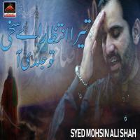 Mere Hussain Ki Akhon Ka Intaqam Hai Hur Syed Mohsin Ali Shah Song Download Mp3