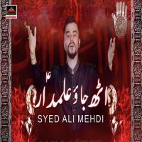 Uth Jao Alamdar Syed Ali Mehdi Song Download Mp3