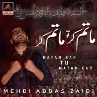 Qafila Salar Behan Mehdi Abbas Zaidi Song Download Mp3