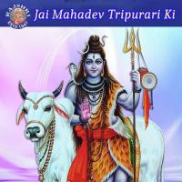 Jai Mahadev Tripurari Ki songs mp3