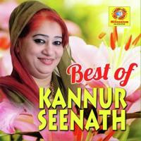 Hits of Kannurseenath songs mp3