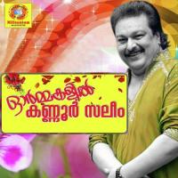 Arayanna Pidayothoru Kannur Saleem Song Download Mp3