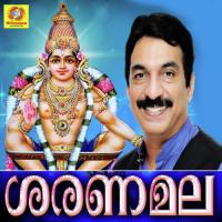 Saranam Saranam Unni Menon Song Download Mp3