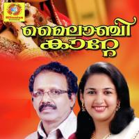 Mele Manathe Jithesh Narayan Song Download Mp3