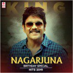King Nagarjuna Birthday Special Hits 2019 songs mp3