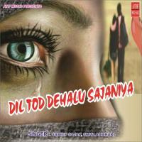 Dil Tod Dehlu Sajaniya songs mp3