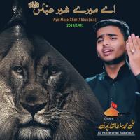 Aye Mere Sher Abbas (a.s) songs mp3