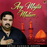 Aey Majlis Matam songs mp3