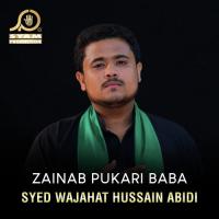 Zainab Pukari Baba Syed Wajahat Hussain Abidi Song Download Mp3