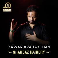 Zawar Arahay Hain songs mp3