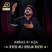 Abbas Ki Aza songs mp3