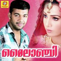 Vanam Sameer Song Download Mp3