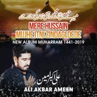 Mere Hussain Mujhe Itni Zindagi Dede Ali Akbar Ameen Song Download Mp3