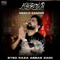 Arzo E Azadar, Vol. 14 songs mp3