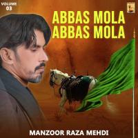 Haider Haider Manzoor Raza Mehdi Song Download Mp3