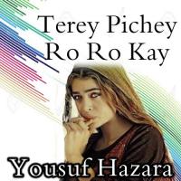 Terey Pichey Ro Ro Kay Yousuf Hazara Song Download Mp3