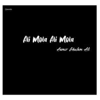 Ali Mola Ali Mola Aamir Ghulam Ali Song Download Mp3