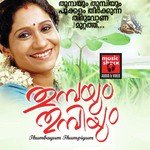 Puzhayude Theerarthu (Female) Chithra Arun Song Download Mp3