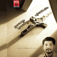 Ippozhum Eppozhum Ennekum songs mp3