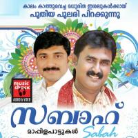 Vattathil Adil Athu Song Download Mp3