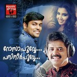 Rosapoove Panineerpoove P. Praveen Song Download Mp3