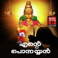 Thozhuthenne Maranno Narayan Krishna Song Download Mp3