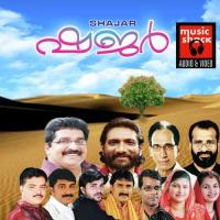 Neraa Chakamukil Afsal Song Download Mp3