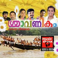 Sraavanikam Shine Sreenivasan Song Download Mp3