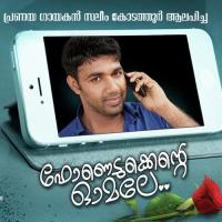 Chillam Chillam Minnaramai Ajay Gopal Song Download Mp3
