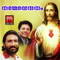 Nee Chorayal Madhu Balakrishnan Song Download Mp3
