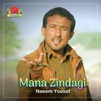 Mana Zindagi songs mp3