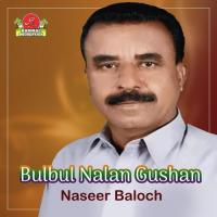 Allah Mani Dost Naseer Baloch Song Download Mp3