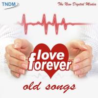 Love Forever songs mp3