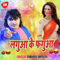 Holi Me Chhinar Card Banta Pankaj Song Download Mp3