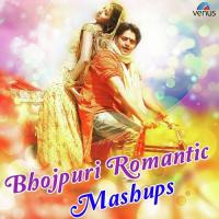 Tu Ho Sugandh - Tohase Kahat - Chand Aisan Manoj Mishra,Indu Sonali,Usha Mangeshkar,Udit Narayan,Purnima Song Download Mp3