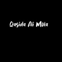 Qasida Ali Mola (Imran Akhtar) Taqi Imran Song Download Mp3