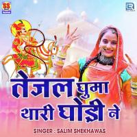 Tejal Ghuma Thari Ghodi Ne Salim Shekhawas Song Download Mp3