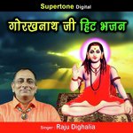 Mein Uski Deewani Ho Gayi Raju Dighalia Song Download Mp3