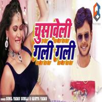 Chusaweli Gali Gali Sunil Yadav Surila,Kavita Yadav Song Download Mp3